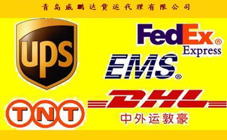 青岛国际快递代理价格 青岛国际快递代理型号规格