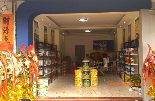 探索中国油漆市场 十大品牌盘点、代理机遇分析与宝莹漆深度解析